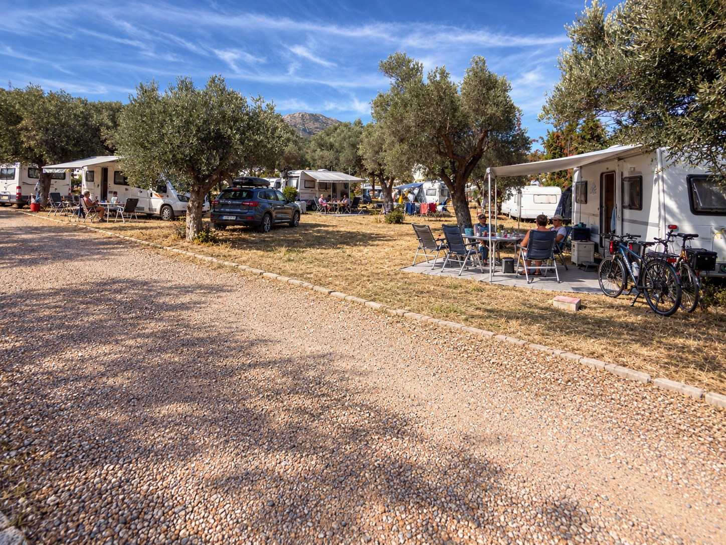 Camping ανάμεσα στις ελιές — εικόνα παρουσίασης
