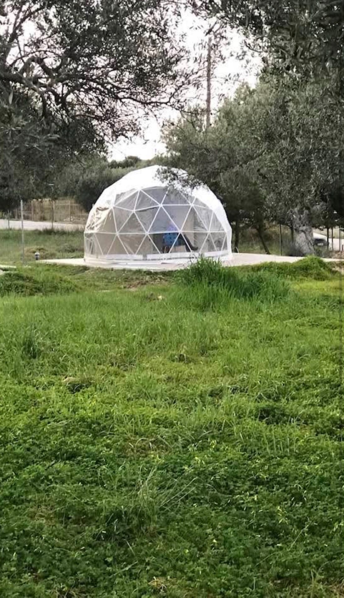 Θολωτή κατασκευή ανάμεσα στις ελιές